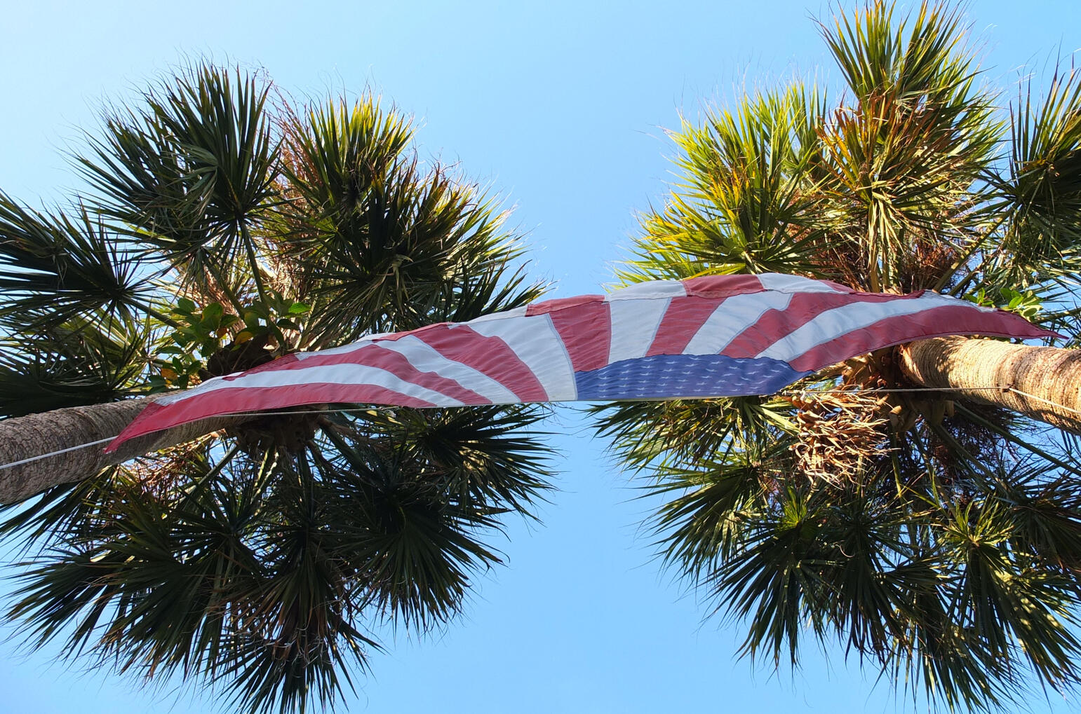 Flag Between Two Palms || 2019 || Nate DeWaele